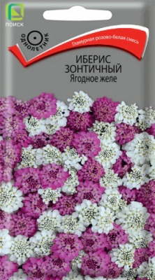 Иберис зонтичный Ягодное желе