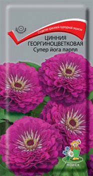 cinnia_georg_super_yoga_parpl