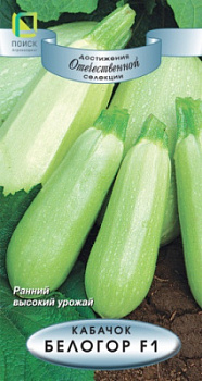 kabachok_belogor