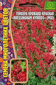 Гейхера кроваво-красная