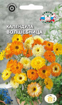 kalendula_volshebnitsa