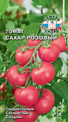 tomat_sakhar_rozovyy
