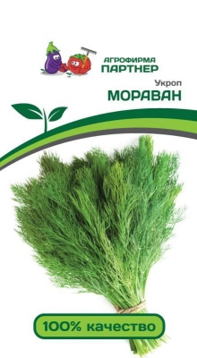 Укроп Мораван