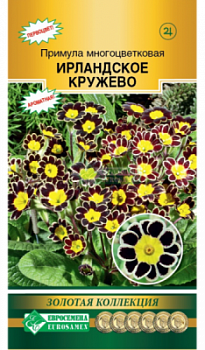 Примула Ирландское Кружево