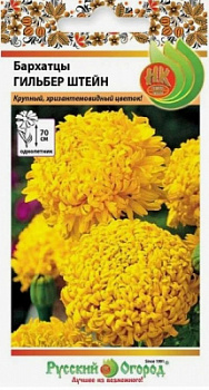 Бархатцы Гильбер Штейн