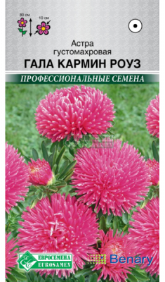 Астра Гала Кармин Роуз
