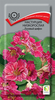 nasturtsiya_nizkoroslaya_rozovyy_shifon