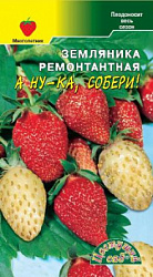 Земляника а ну ка собери