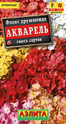 Флокс Акварель, смесь сортов_ЦП