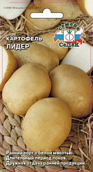 kartofel_lider