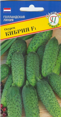 Огурец Кибрия
