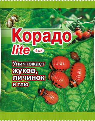 udrrs13k1ugv91ycgz442m8r9ji6h5fa лайт