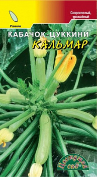 Кабачок кальмар