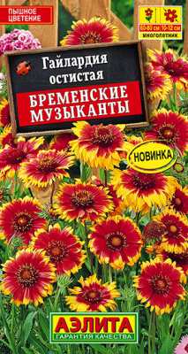 Гайлардия Бременские музыканты_ЦП