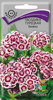 Гвоздика Турецкая Княжна
