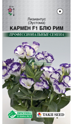 Эустома Кармен Блю Рим