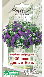 Вербена Обсешн Дени и Ночь