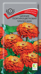 cinnia_georg_super_yoga_orange