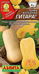 Тыква мускатная Гитара_ЦП
