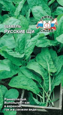 shchavel_russkie_shchi