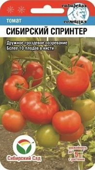 Сибирский спринтер