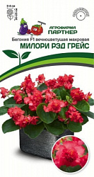Бегония Милори рэд грейс