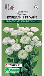 Эустома Корелли