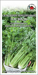 Паскаль