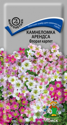 Камнеломка Арендса Флорал Карпет