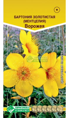 Бартония Ворожея
