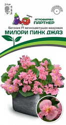 Бегония милори пинк джаз