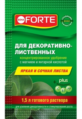 BF_sashe_2018-03_500