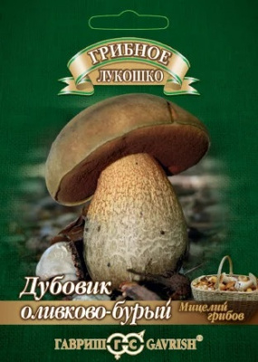 Дубовик