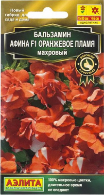 бальзамин Афина