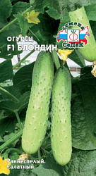 ogurets_blondin_f1