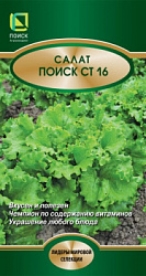 salat_poisk_st_16