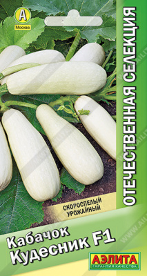Кабачок Кудесник