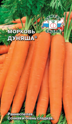 morkov_dunyasha