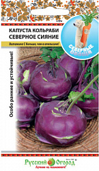 Капуста кольраби Северное сияние