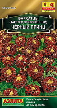 Бархатцы Черный принц