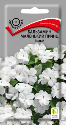 balzamin_malenky_prince_bely
