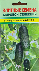 Атик