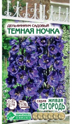 Дельфиниум Темная Ночка