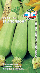 kabachok_apollon_f1