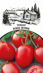 tomat boec faz