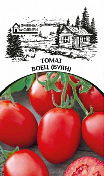 tomat boec faz