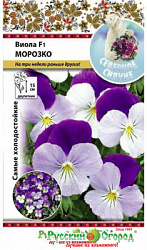 Виола морозко