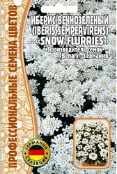 iberis_vechnozelenyj_iberis_sempervirens_snow_flurries-500x500