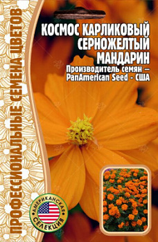 Космос мандарин
