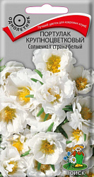 Портулак крупноцветковый Солнечная страна белый